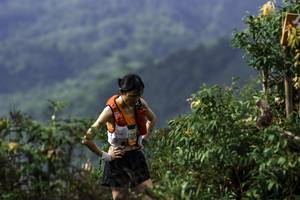 BIB: 
                            <button type="button" onclick="openModal(24765218)" class="btn btn-primary btn-sm float-right btn-popup" data-toggle="modal" data-target=".modal-high-quality">
                        <i class="fas fa-shopping-cart"></i> Add to Cart
                    </button>
                                            <button type="button" onclick="isThisMe(24765218, true)" class="btn btn-success btn-sm float-right btn-popup btn-isme hidden" data-toggle="tooltip" data-placement="bottom" title="นี่คือรูปของคุณใช่ไหม คลิกที่นี่เพื่อเอาเข้าอัลบั้ม">
                        <i class="fas fa-plus"></i> Add to album
                    </button>
                    <button type="button" onclick="isThisMe(24765218, false)" class="btn btn-warning btn-sm float-right btn-popup btn-isnotme hidden">
                        <i class="fas fa-ban"></i> Remove from album
                    </button>